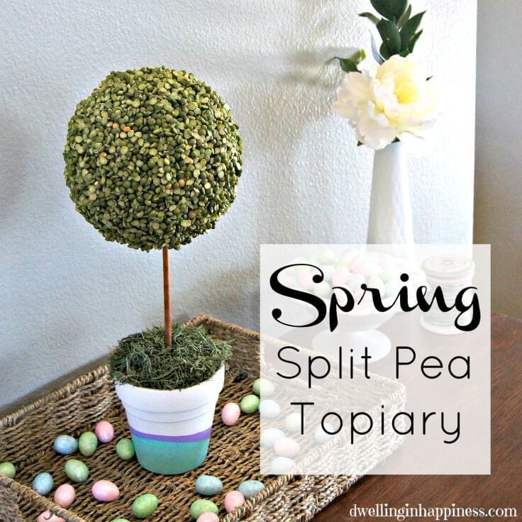 Spring Split Pea Topiary